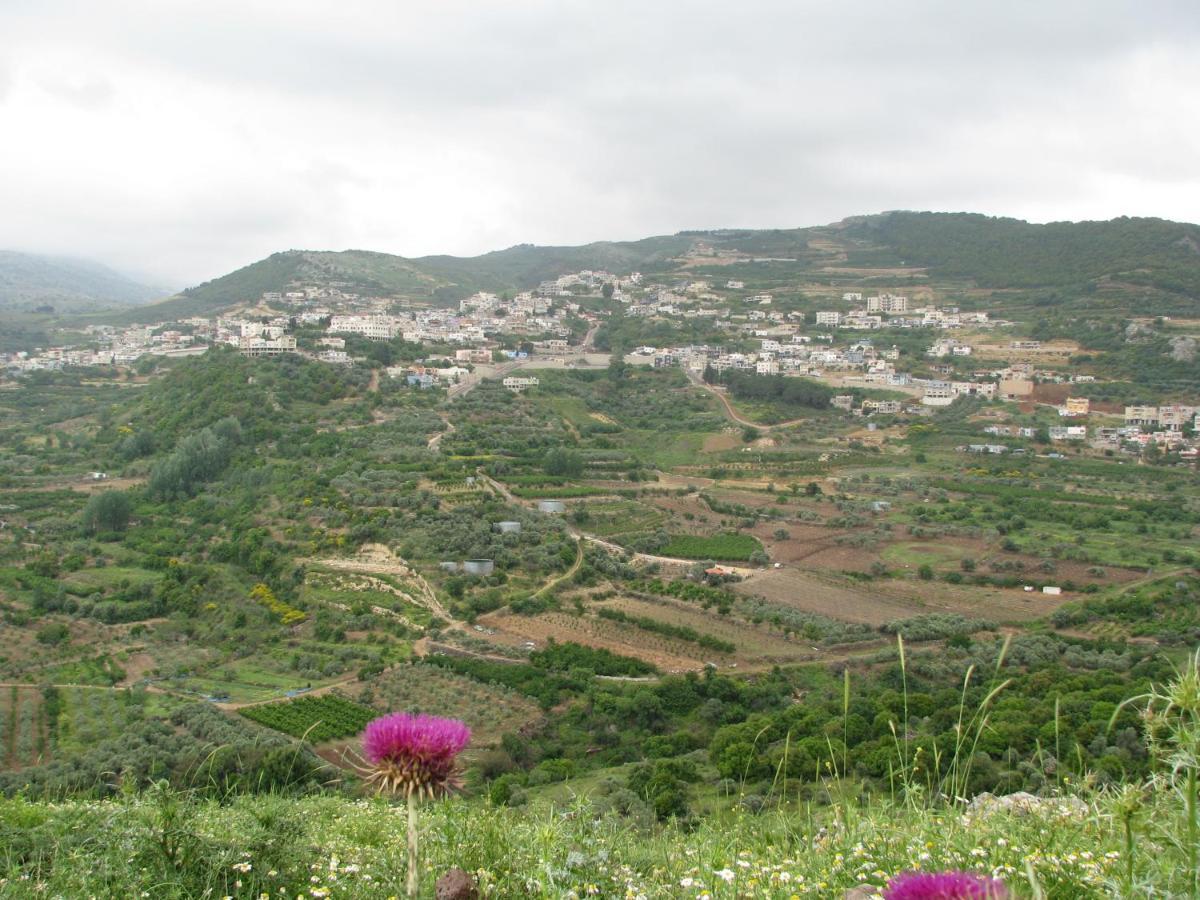 Tourism In The Village Ein Kinya Esterno foto